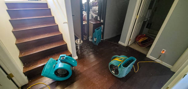 Best Residential water damage restoration  in New Kensington, PA
