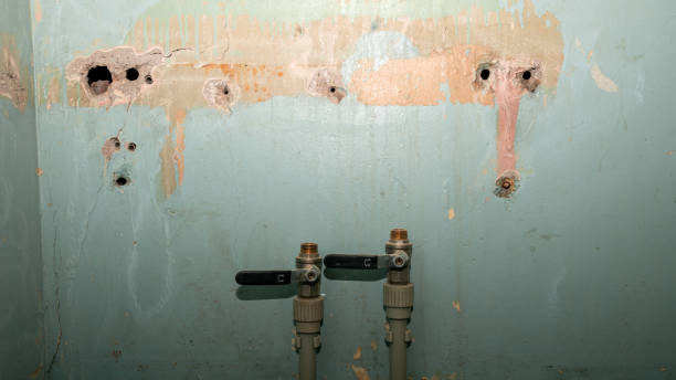 Best Carpet water damage restoration  in New Kensington, PA